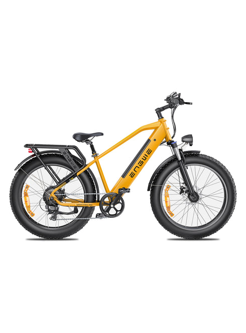 Bicicleta eléctrica con neumáticos anchos y doble suspensión